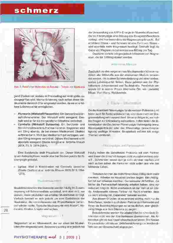 Vorschauseite 4: Fibromyalgie - die rätselhafte Krankheit Teil II die Säulen der Therapie