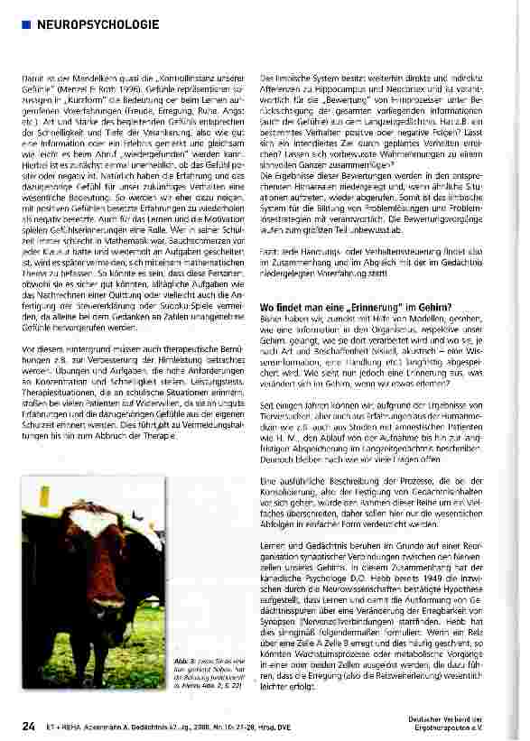 Vorschauseite 4: Gedächtnis Teil 3: Langzeitgedächtnis, Hippocampus und limbisches System