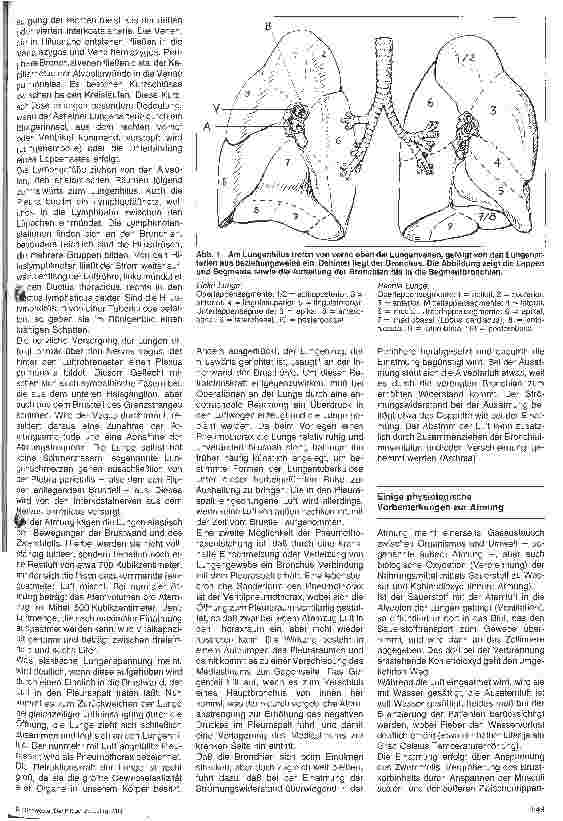 Vorschauseite 2: Lungenchirurgie 1. Folge: Anatomie und Physiologie der Lunge