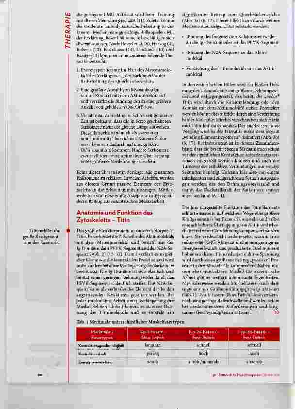 Vorschauseite 3: Update Muskelphysiologie: Exzentrik