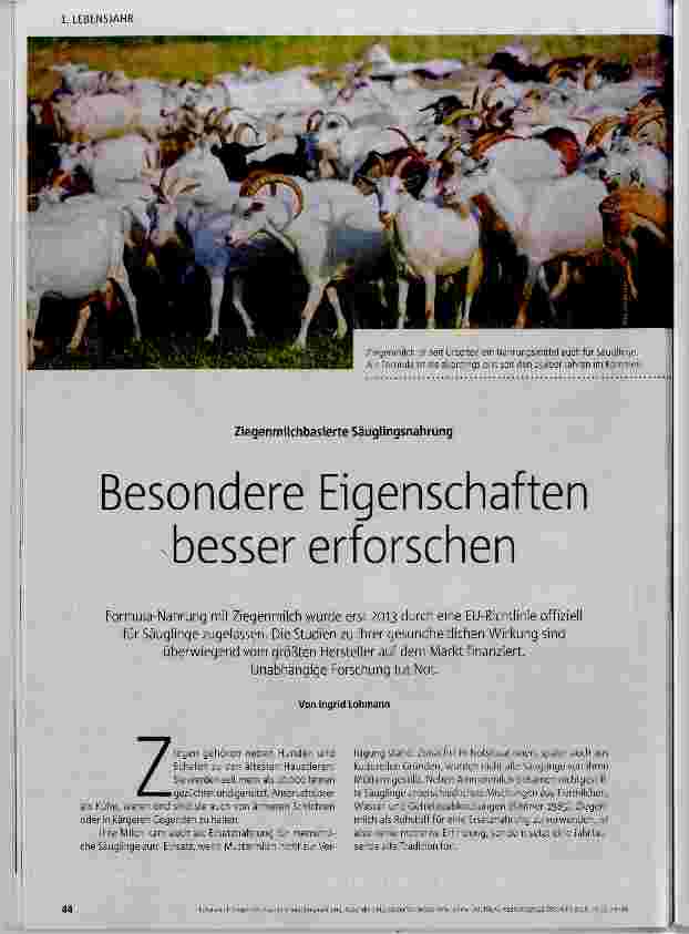 Vorschauseite 1: Besondere Eigenschaften besser erforschen
