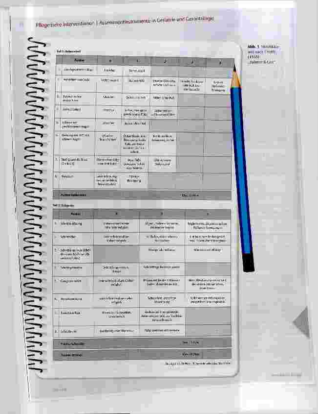 Vorschauseite 2: Assessment Tinetti-Test (Performance Oriented Mobility Assessment - POMA)