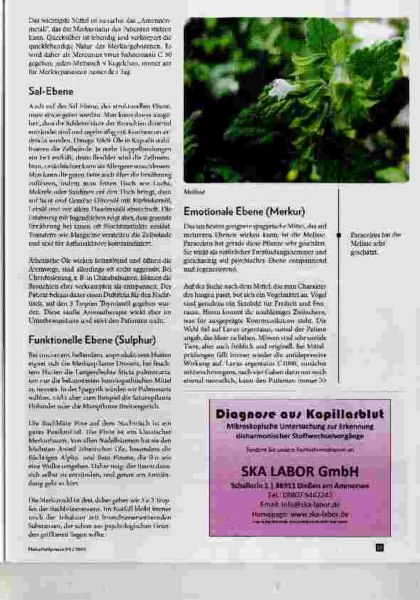 Vorschauseite 4: Paracelsusmedizin hier und heute