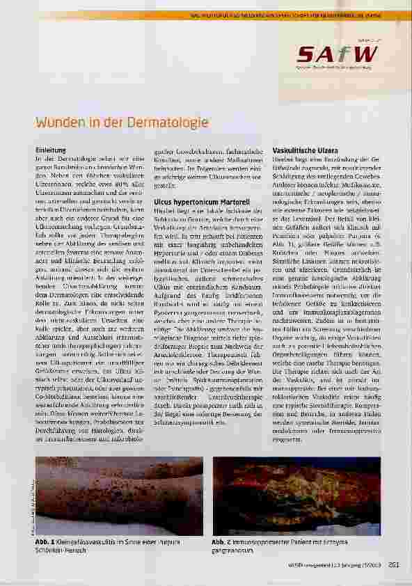 Vorschauseite 1: Wunden in der Dermatologie