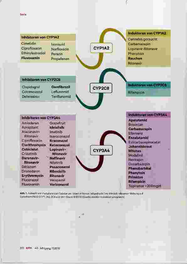 Vorschauseite 6: Das Interaktionspotenzial der Antiandrogene