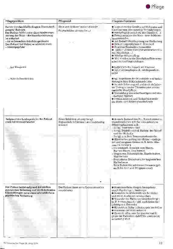 Vorschauseite 6: Pflege bei Stammzellenunterstützter Hochdosis-Chemotherapie mit einer Plegeplanung zu den pflegerischen Schwerpunkten