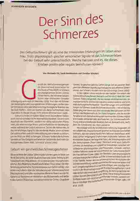 Vorschauseite 1: Der Sinn des Schmerzes