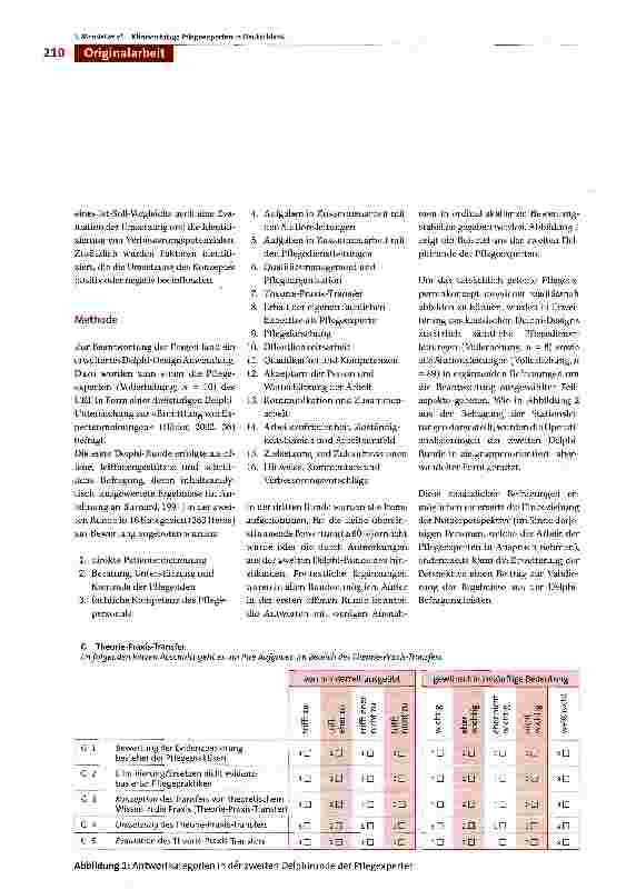 Vorschauseite 3: Aufgabengebiete klinisch tätiger Pflegeexperten in Deutschland und deren Verortung in der internationalen Advanced Nursing Practice