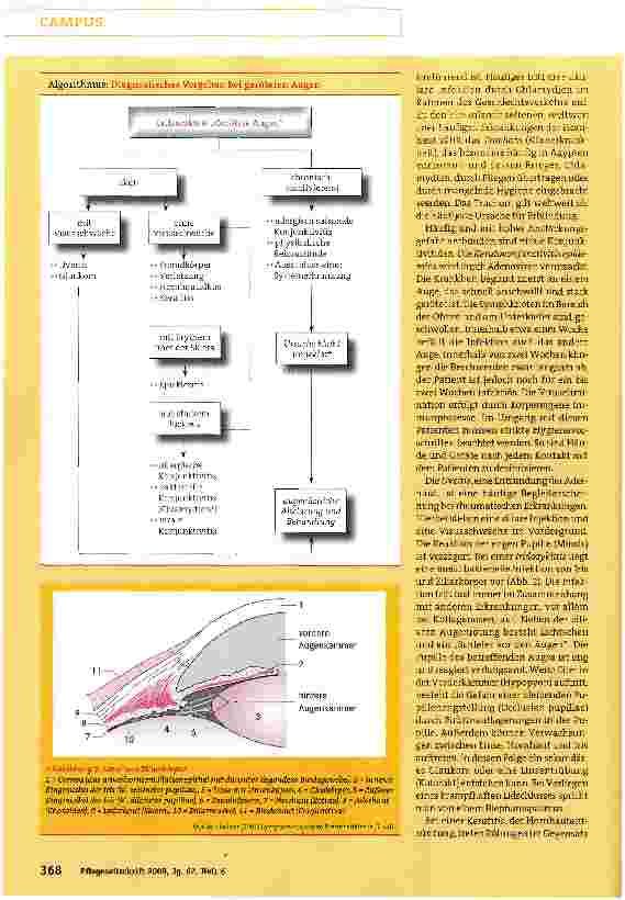 Vorschauseite 2: Leitmerkmal „Gerötete Augen