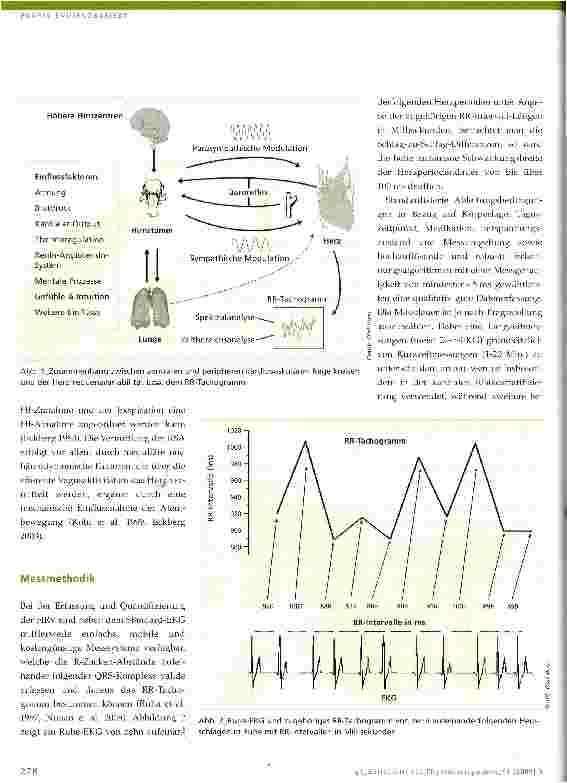 Vorschauseite 2: Herzfrequenzvariabilität und Physiotherapie