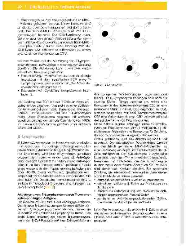 Vorschauseite 4: Teil 2: Das erworbene Immunsystem