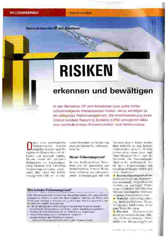 Vorschauseite 1: Risiken erkennen und bewältigen