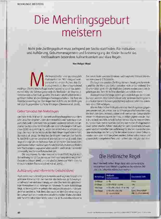 Vorschauseite 1: Die Mehrlingsgeburt meistern