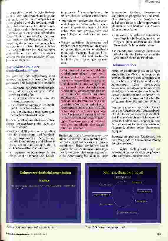 Vorschauseite 2: Schmerz und Schmerzbewältigung aus pflegerischer Sicht