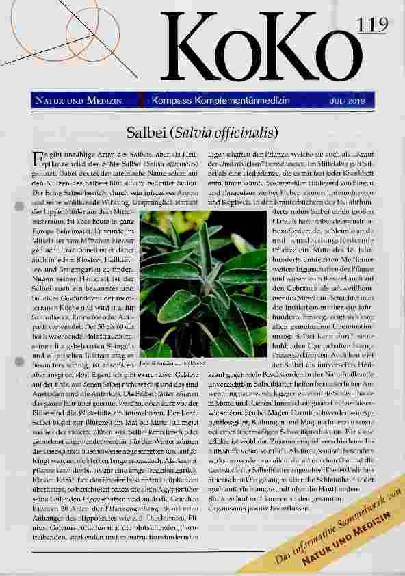 Vorschauseite 1: Salbei (Salvia officinalis)