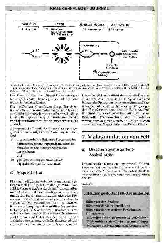 Vorschauseite 4: Pathophysiologie der Nährstoffresorption