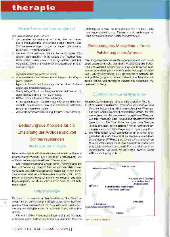 Vorschauseite 2: Schmerztherapie bei chronischen Gelenkerkrankungen