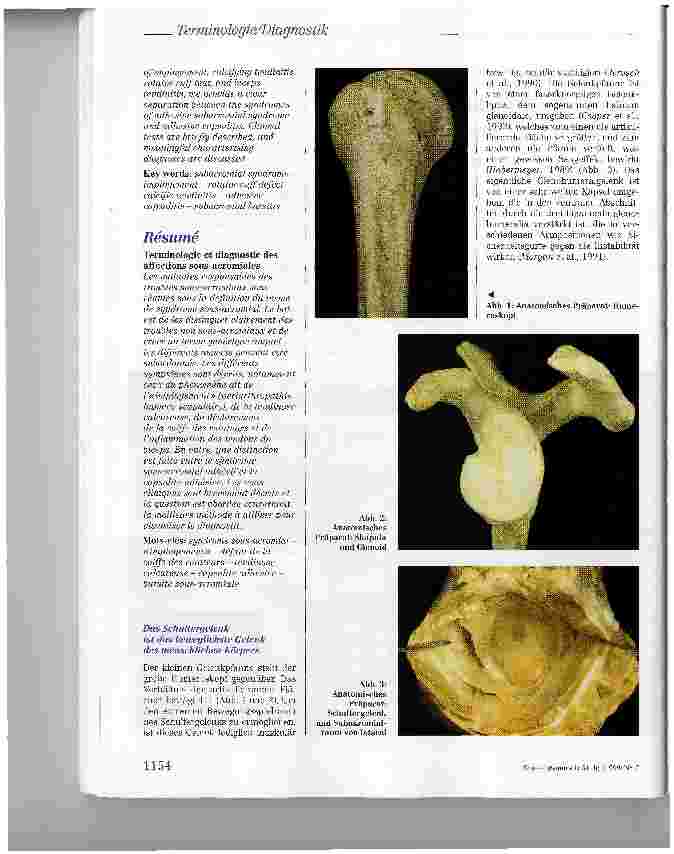 Vorschauseite 2: Terminologie und Diagnostik subakromialer Erkrankungen