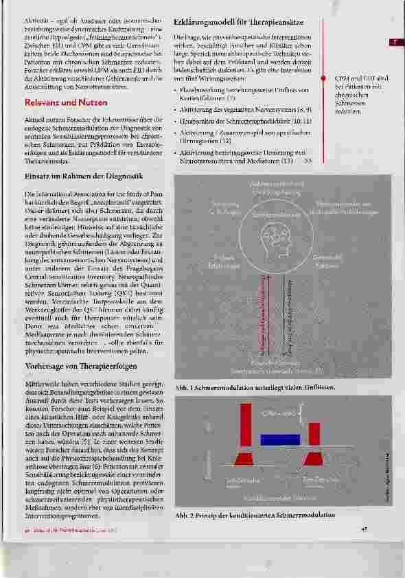 Vorschauseite 2: No brain, no pain Welche Bedeutung hat die endogene Schnnerznnodulation?
