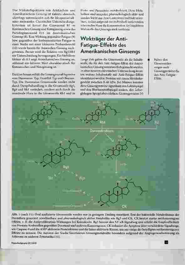 Vorschauseite 3: Amerikanischer Ginseng