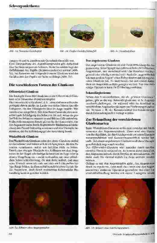 Vorschauseite 3: Der grüne Star