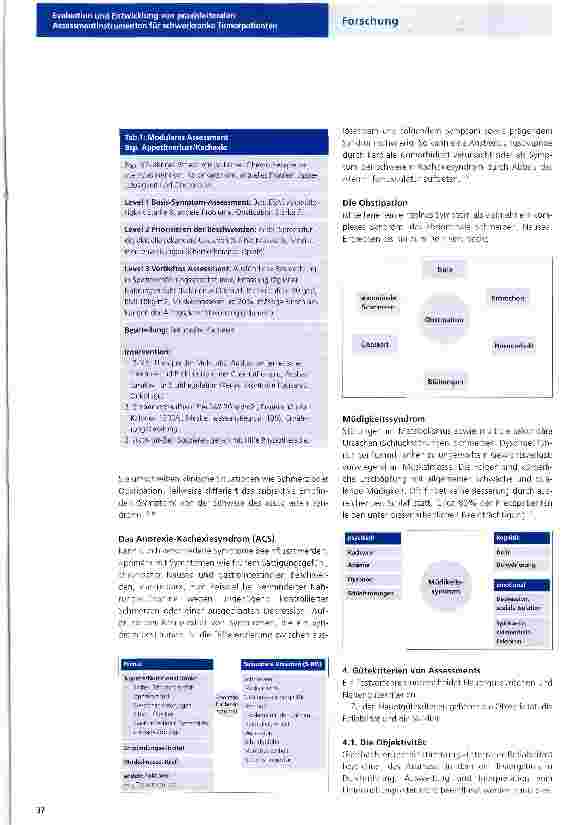 Vorschauseite 2: Evaluation und Entwicklung von praxisleitenden Assessmentinstrumenten für schwerkranke Tumorpatienten