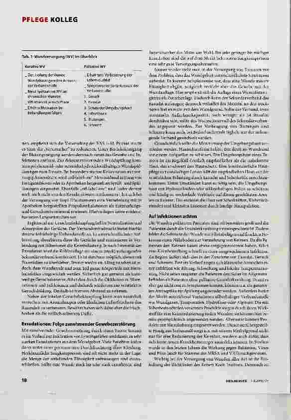 Vorschauseite 2: Wenn Wunden nicht mehr heilbar sind