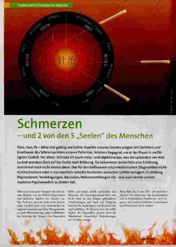 Vorschauseite 1: Schmerzen - und 2 von den 5 „Seelen“ des Menschen