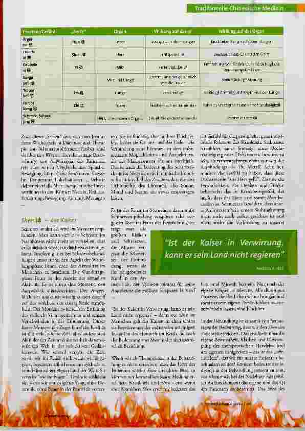 Vorschauseite 2: Schmerzen - und 2 von den 5 „Seelen“ des Menschen