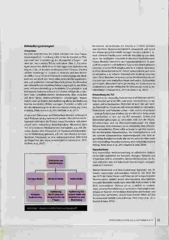 Vorschauseite 4: Tumorlysesyndrom