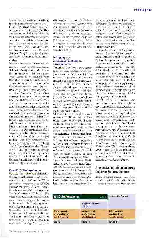 Vorschauseite 2: Komplementäre SchmerztherapieSanfte Hilfen gegen Tumorschmerzen