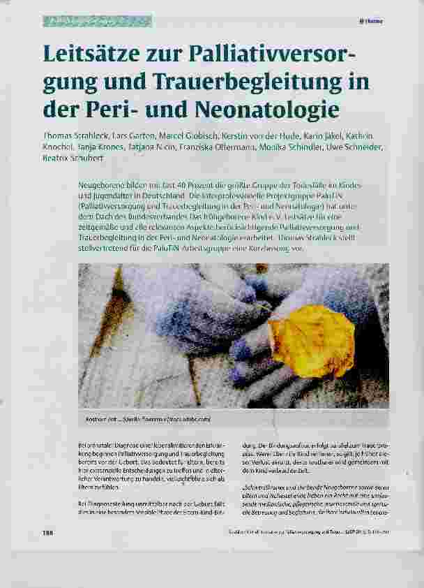 Vorschauseite 1: Leitsätze zur Palliativversorgung und Trauerbegleitung in der Periund Neonatologie