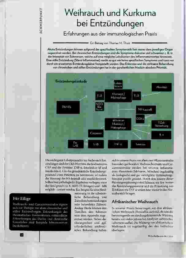 Vorschauseite 1: Weihrauch und Kurkuma bei Entzündungen