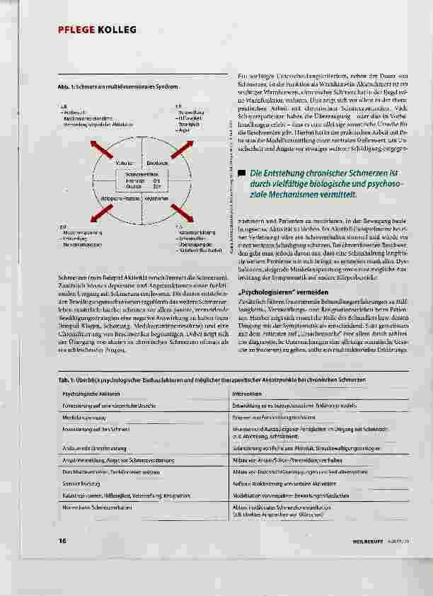 Vorschauseite 2: Die Rolle der Psyche bei der Schmerz-Chronifizierung