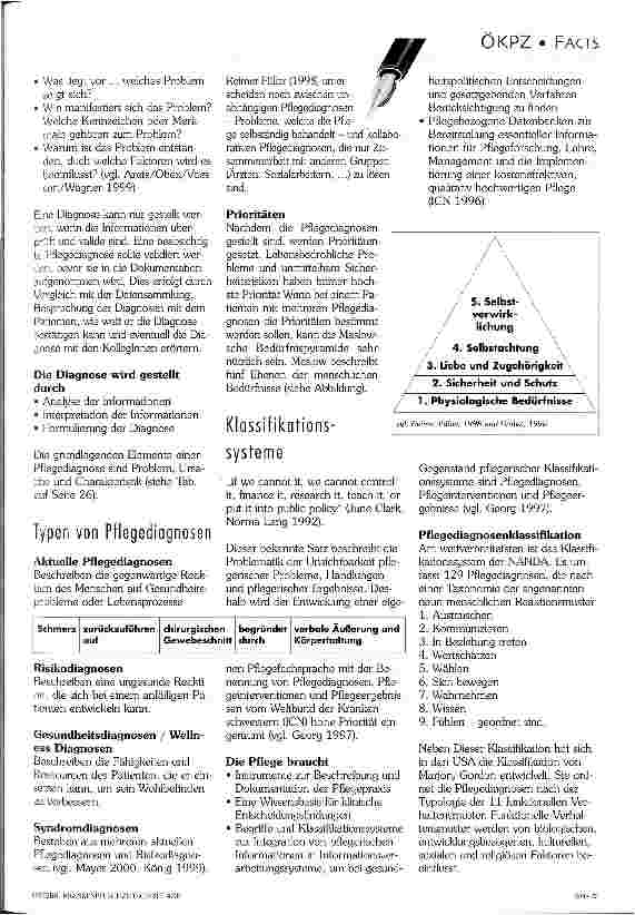 Vorschauseite 2: Pflegediagnosen und Pflegeklassifikationsprobleme Ein Überblick