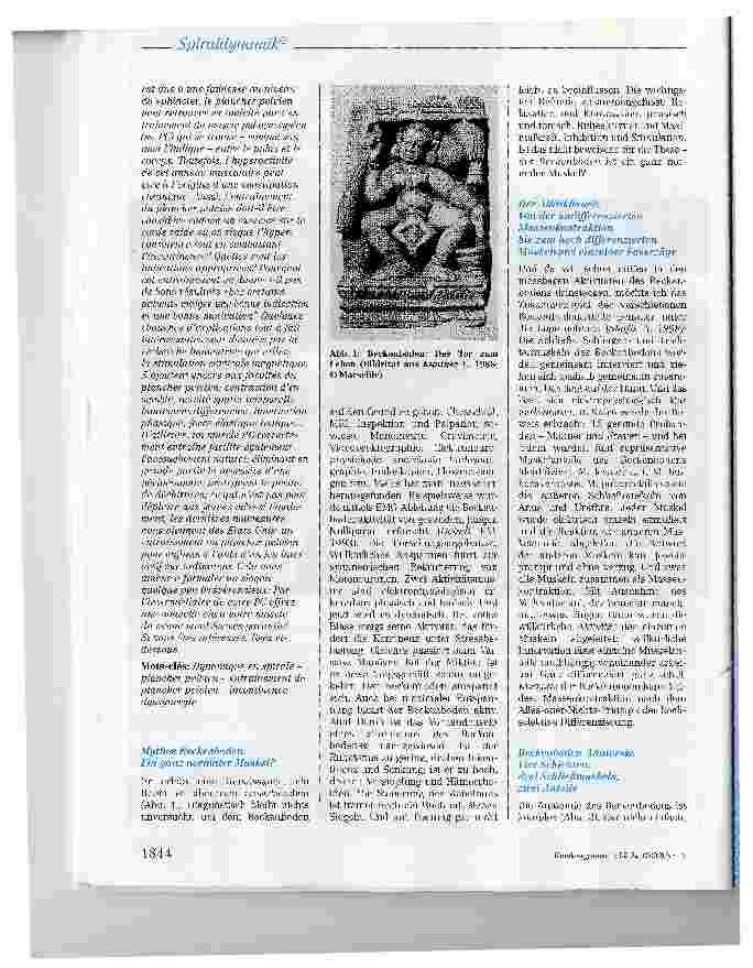 Vorschauseite 2: Spiraldynamik® - Spannendes und Entspannendes zum Thema Beckenboden