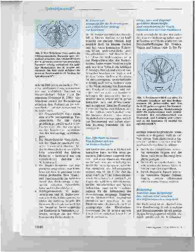 Vorschauseite 3: Spiraldynamik® - Spannendes und Entspannendes zum Thema Beckenboden