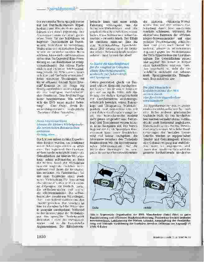 Vorschauseite 5: Spiraldynamik® - Spannendes und Entspannendes zum Thema Beckenboden