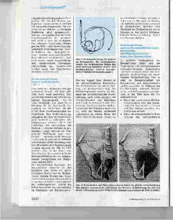 Vorschauseite 6: Spiraldynamik® - Spannendes und Entspannendes zum Thema Beckenboden