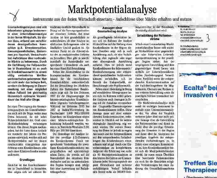 Vorschauseite 1: Marktpotentialanalyse