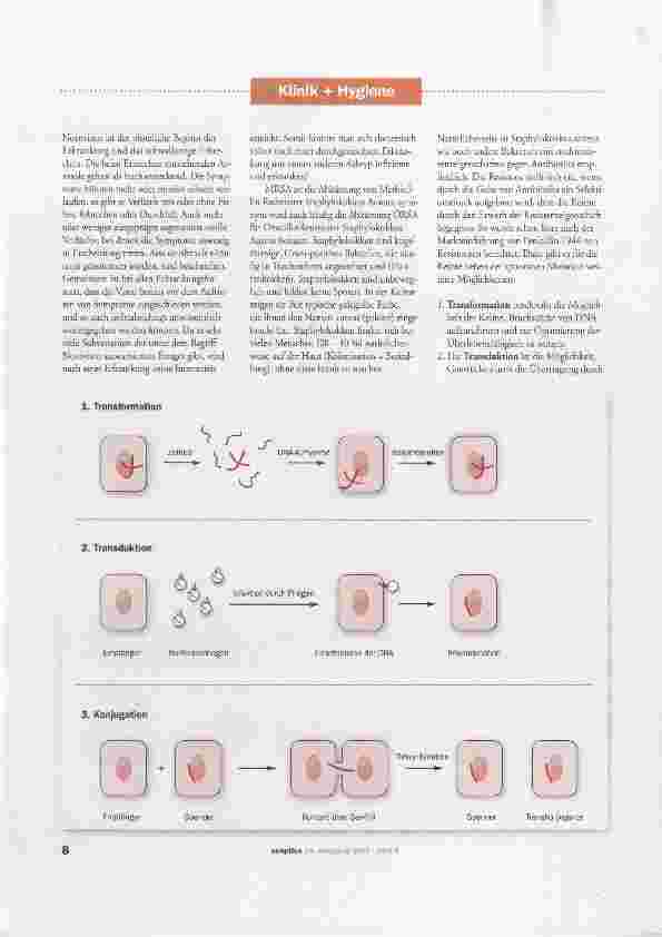 Vorschauseite 2: Clostridium difficile, Noro-Viren und MRSA in der Endoskopie