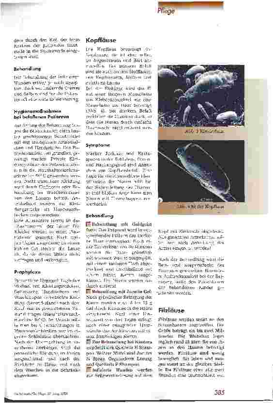 Vorschauseite 3: Körperungeziefer immer häufiger Hygienemaßnahmen