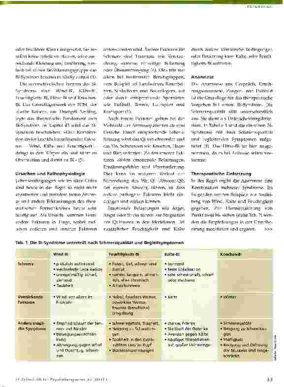 Vorschauseite 2: Ernährungstherapie bei ArthroseAus Sicht der Traditionellen Chinesischen Medizin (TCM)
