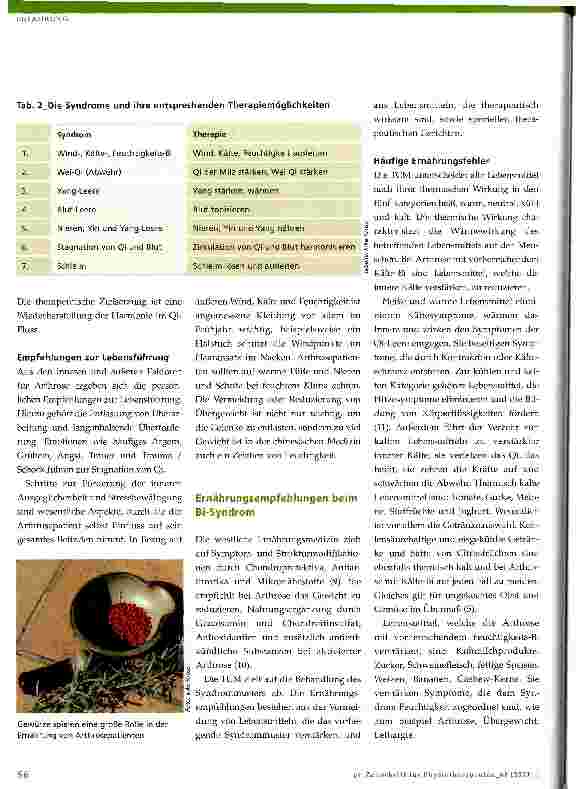 Vorschauseite 3: Ernährungstherapie bei ArthroseAus Sicht der Traditionellen Chinesischen Medizin (TCM)