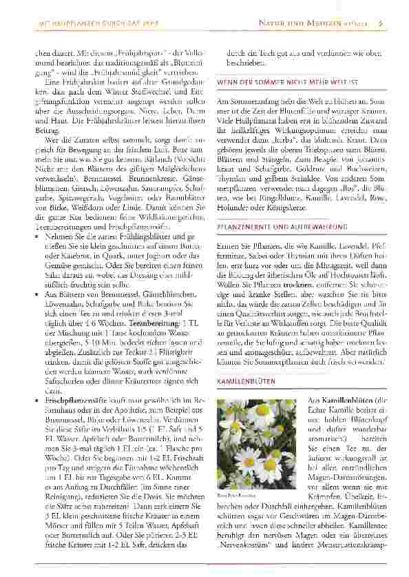 Vorschauseite 2: Mit Heilpflanzen durch das Jahr - Teil 1