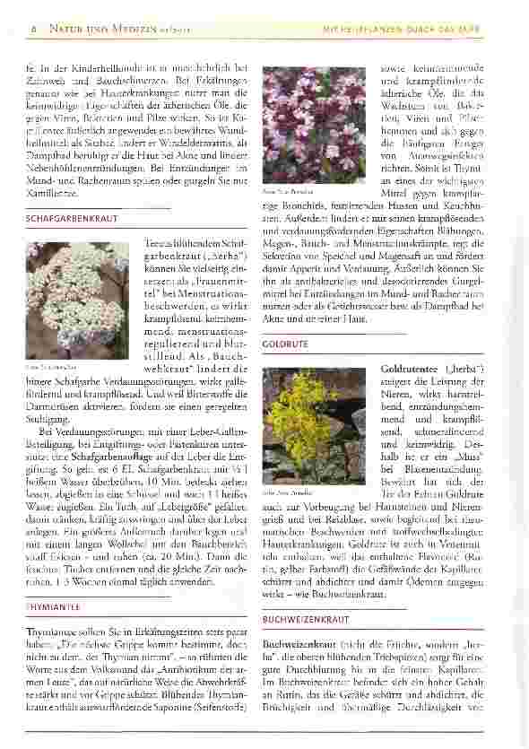 Vorschauseite 3: Mit Heilpflanzen durch das Jahr - Teil 1