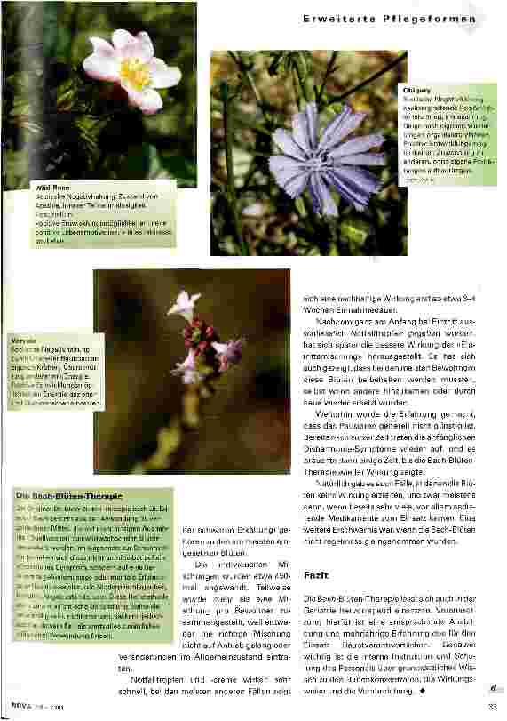 Vorschauseite 2: Bach-Blüten-Therapie in der Geriatrie