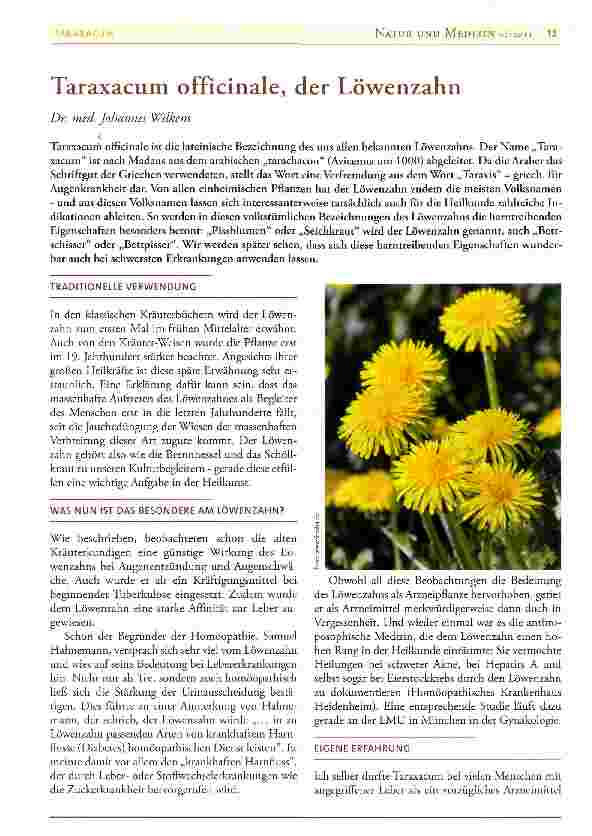 Vorschauseite 1: Taraxacum officinale, der Löwenzahn