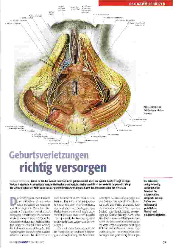 Vorschauseite 1: Geburtsverletzungen richtig versorgen