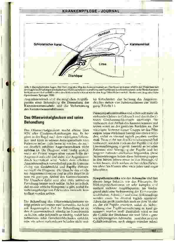 Vorschauseite 2: Medikamentöse Glaukomtheraphie